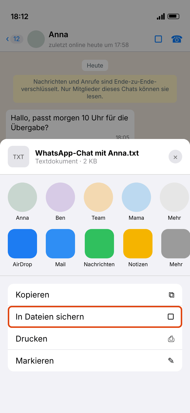 iOS-Teilen-Menü mit der Exportdatei und markiertem Eintrag „In Dateien sichern“